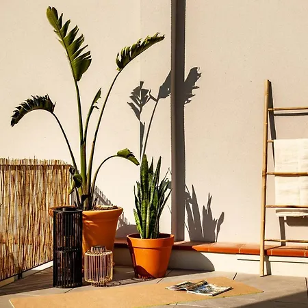 Διαμέρισμα Beni - 1 Bedroom With Pool And Terrace In Gracia